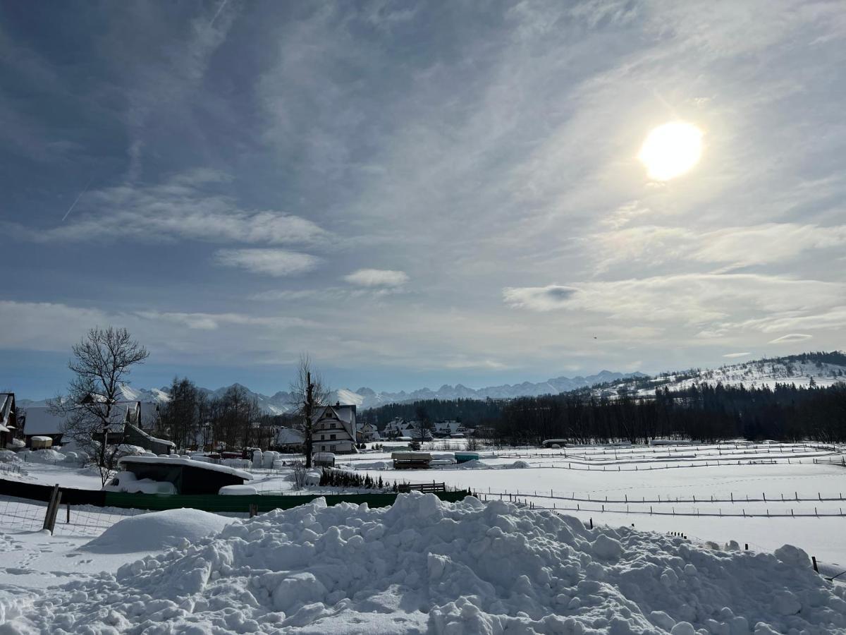 Pokoje U Danusi Czarna Góra Dış mekan fotoğraf