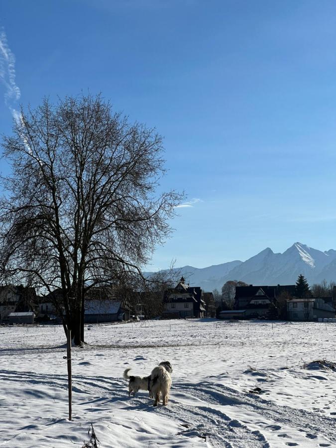 Pokoje U Danusi Czarna Góra Dış mekan fotoğraf